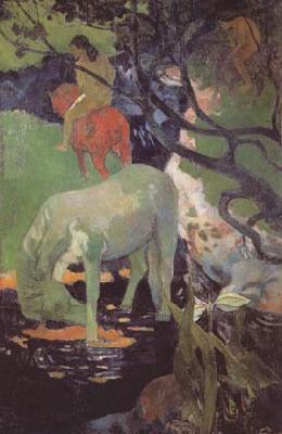Paul Gauguin The White Horse (mk06) Germany oil painting art